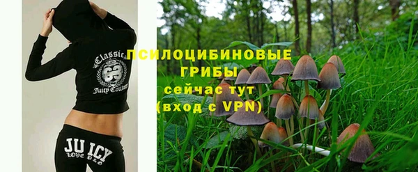 каннабис Богородицк