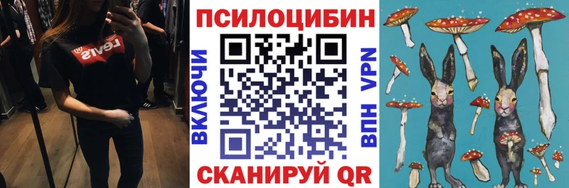 Купить где  Болотное  Галлюциногенные грибы Cubensis 